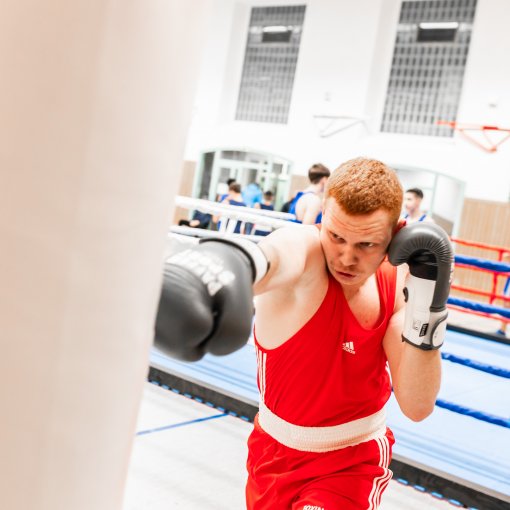 Boxen für Fortgeschrittene